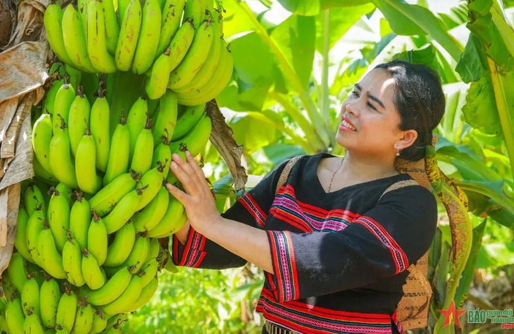 năng suất là thước đo giá trị nông nghiệp