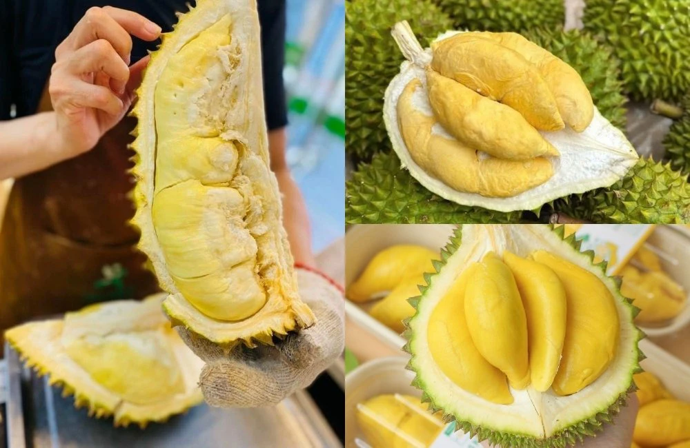 các giống sầu riêng phổ biến