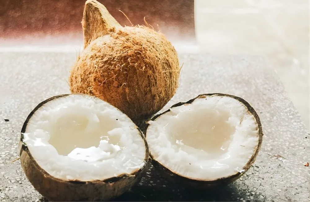 Chi phí bảo dưỡng của dừa sáp mô