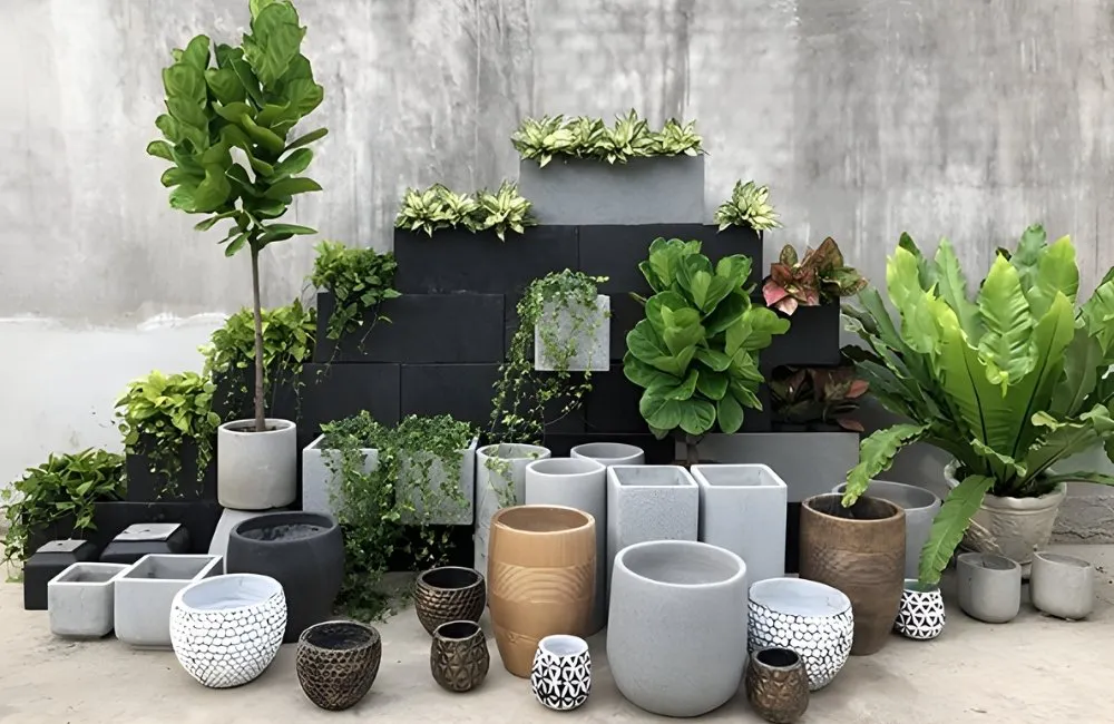 Chọn chậu kiểng lá theo mệnh ngũ hành