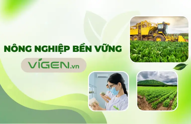 Vigen – Nông nghiệp bền vững và khát vọng nuôi dưỡng tương lai xanh