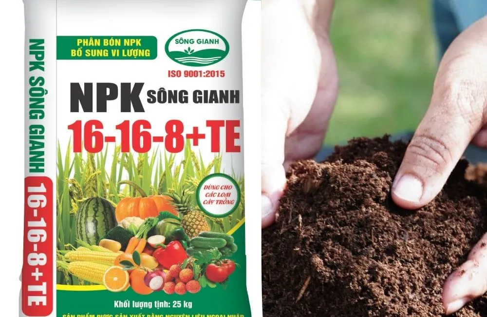 Phân hóa học và phân hữu cơ dùng cho cây dừa