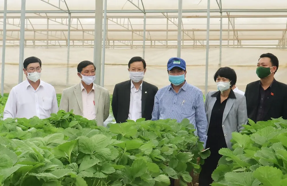 Thực trạng giống cây trồng hiện nay