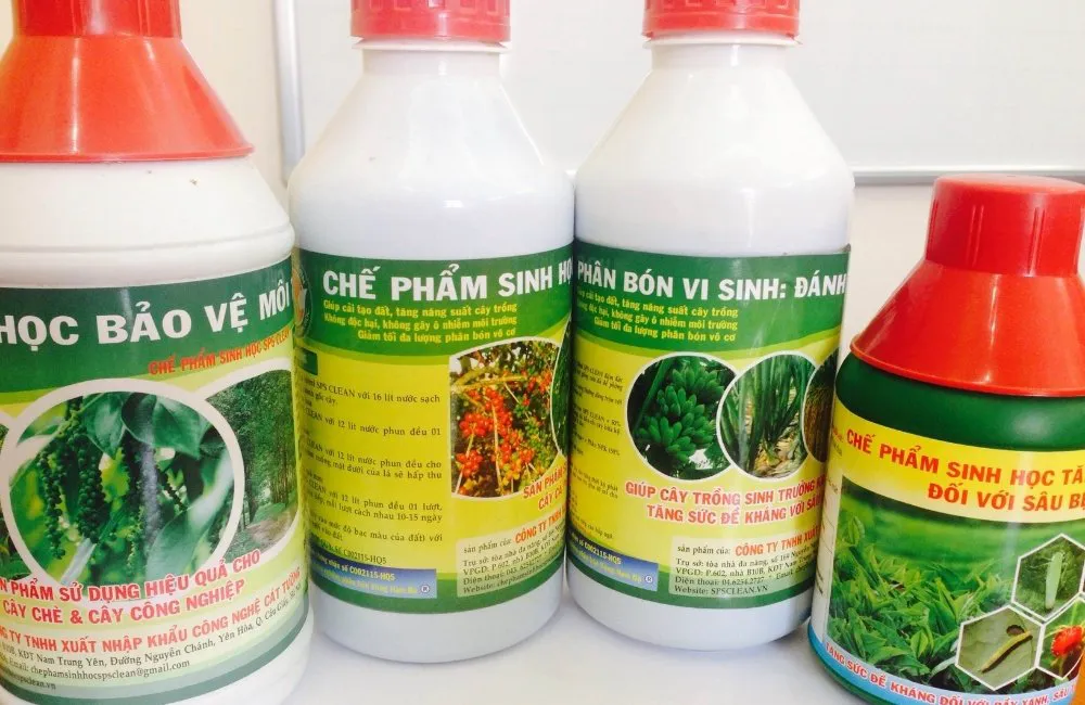 thuốc sinh học trị bệnh cho cây chuối