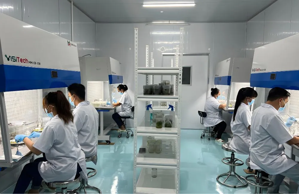 Công nghệ nuôi cấy mô tiên tiến