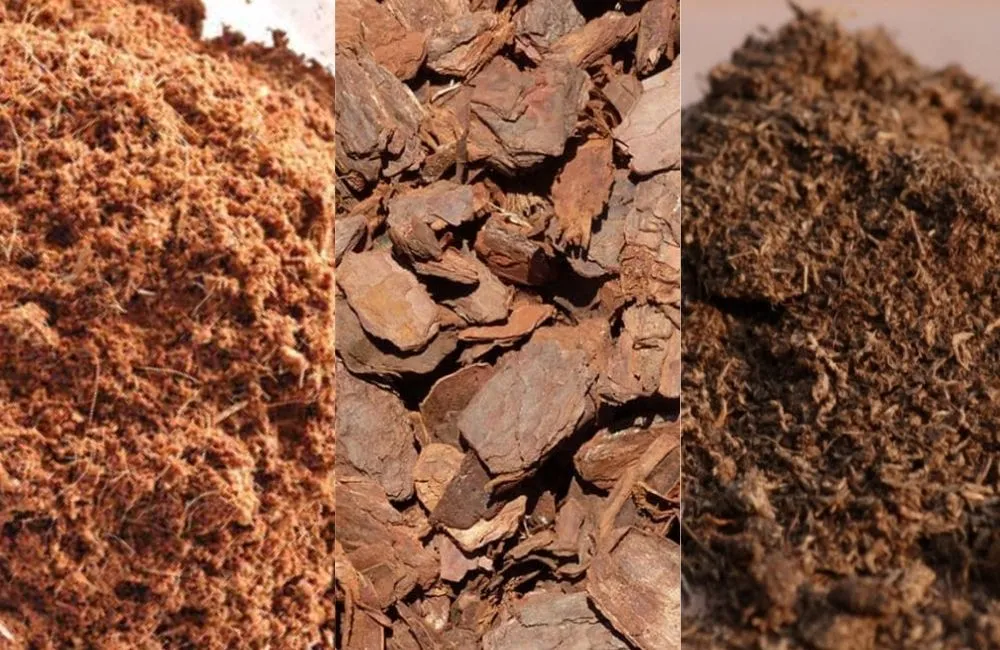 Hình ảnh giá thể xơ dừa, vỏ thông và than bùn.