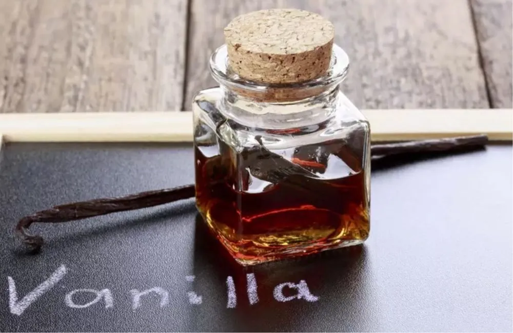 Tinh dầu vani chiết xuất từ quả vani đỏ được đựng trong lọ thủy tinh.