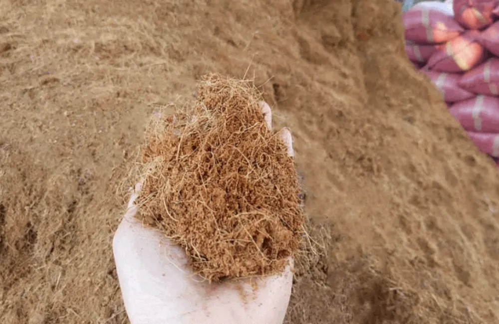 Hình ảnh xơ dừa - nguyên liệu của giá thể chưa qua xử lí. 