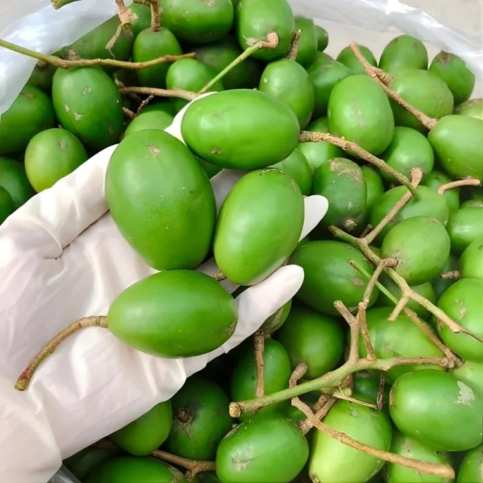 Cóc Thái Nhỏ Ghép