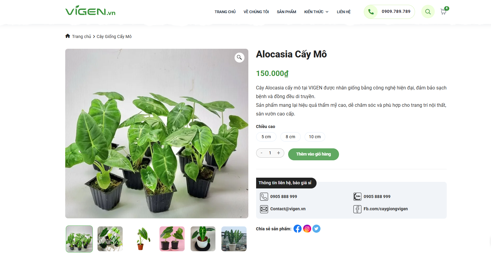 Hướng dẫn mua hàng