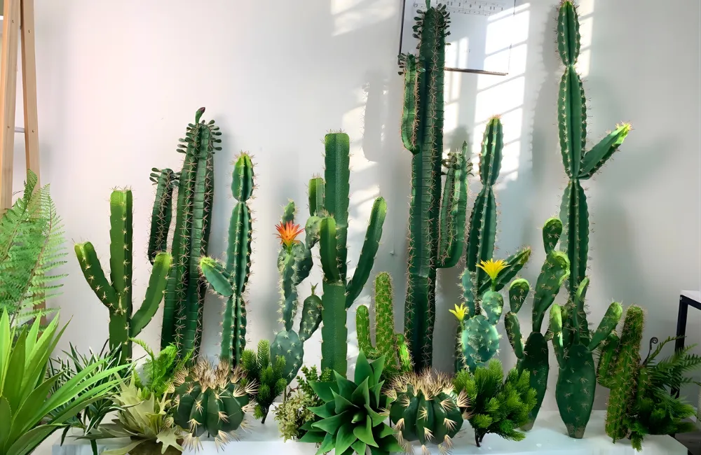 Các phương pháp nhân giống xương rồng