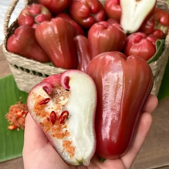 Mận An Phước T11 Ghép - Ảnh 5