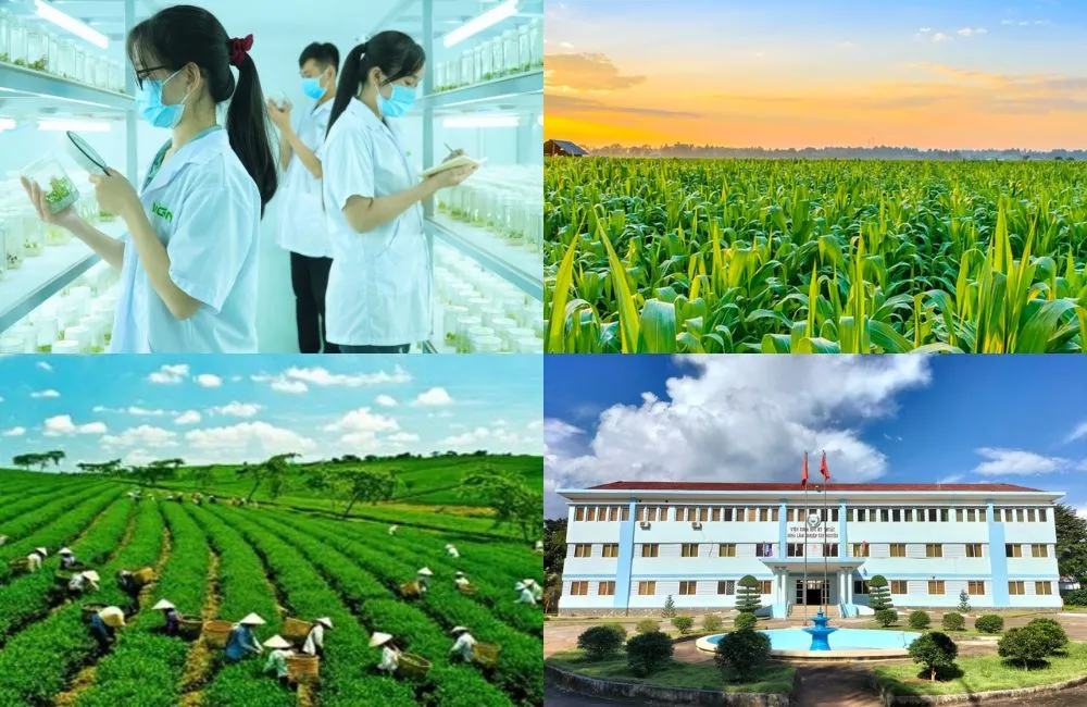 Top 5 trung tâm cây giống lớn nhất Việt Nam