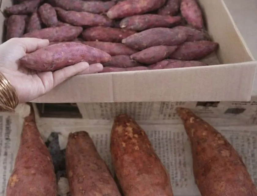 Bảo quản bằng khoai thùng xốp