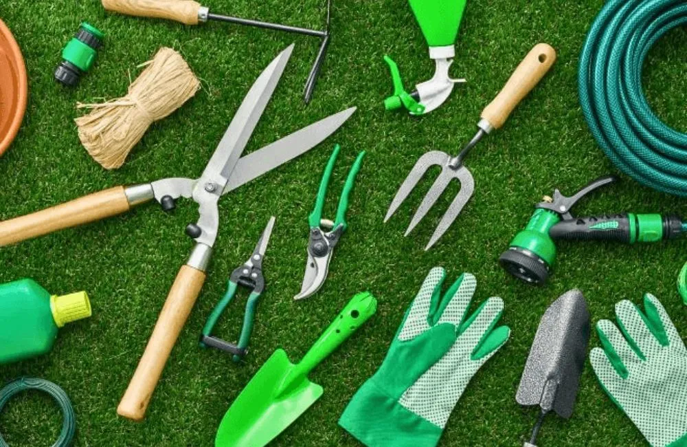 Dụng cụ cho việc trồng vani đỏ 