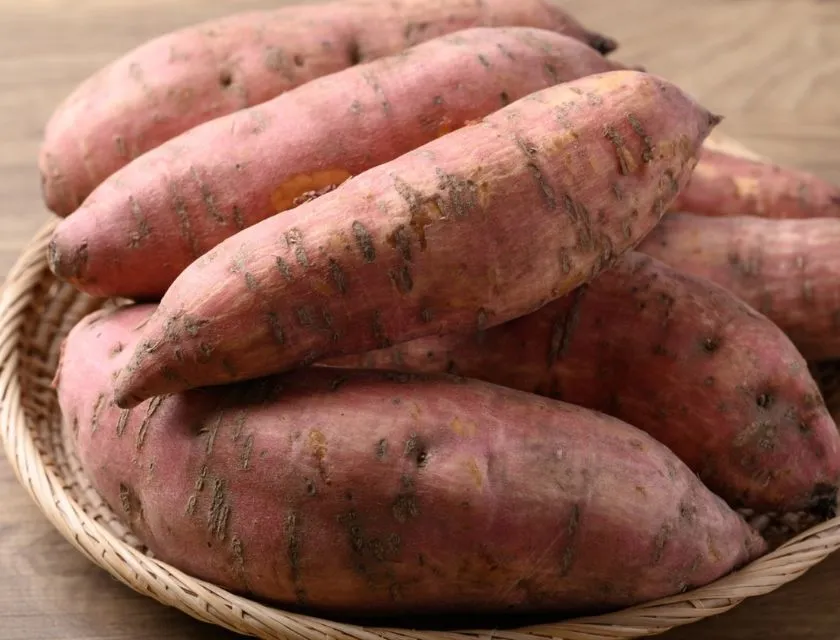 Khoai lang Nhật chín