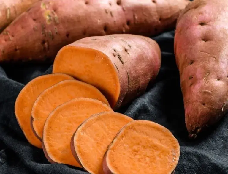 Thu hoạch khoai lang Nhật và bảo quản khi nào là tốt nhất để củ dẻo ngọt