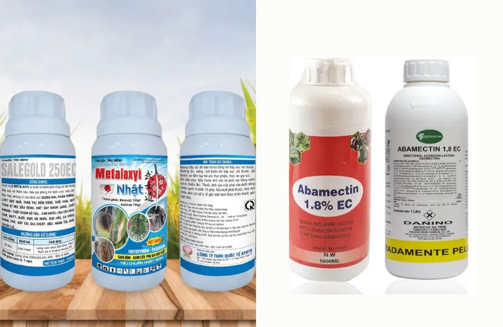 Bệnh trên khoai lang Nhật - thuốc trừ sâu 