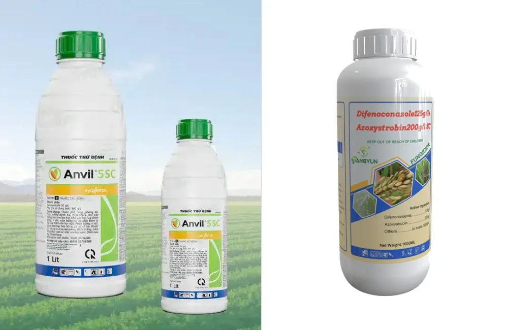 Thuốc trị bệnh đốm lá khoai lang Nhật