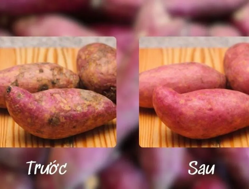 Curing giúp làm giảm nấm 