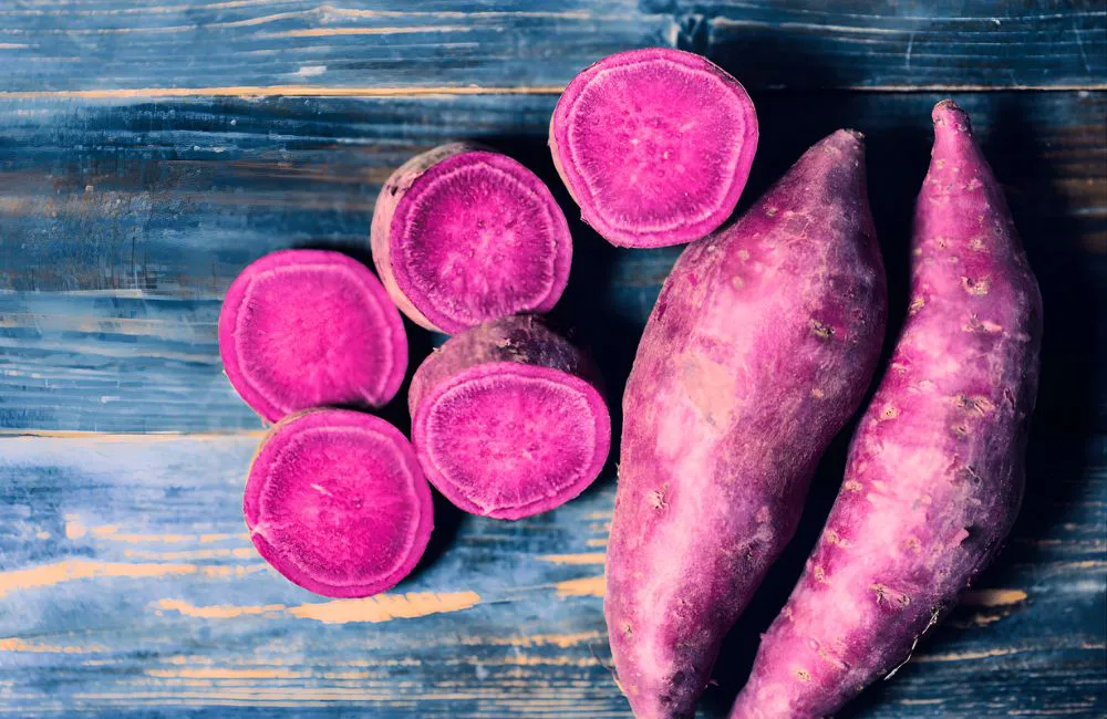 Nơi mua giống khoai lang Nhật uy tín