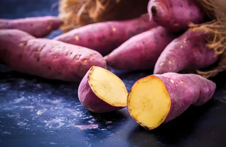 Giống khoai lang Nhật nào ngon nhất? So sánh chi tiết