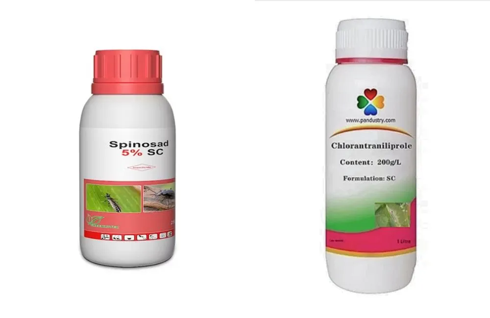 Sâu ăn lá, sâu đục thân khoai lang Nhật 