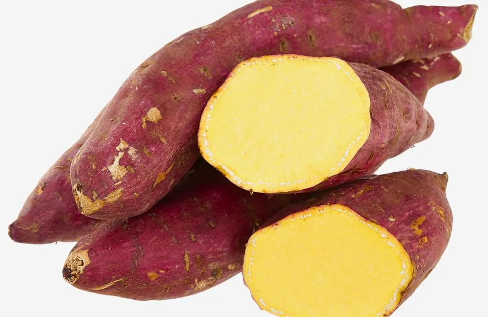 Sâu ăn lá, sâu đục thân khoai lang Nhật 