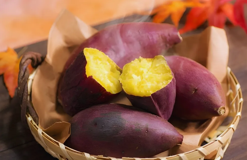 Giá bán và kênh phân phối khoai lang Nhật hiện nay