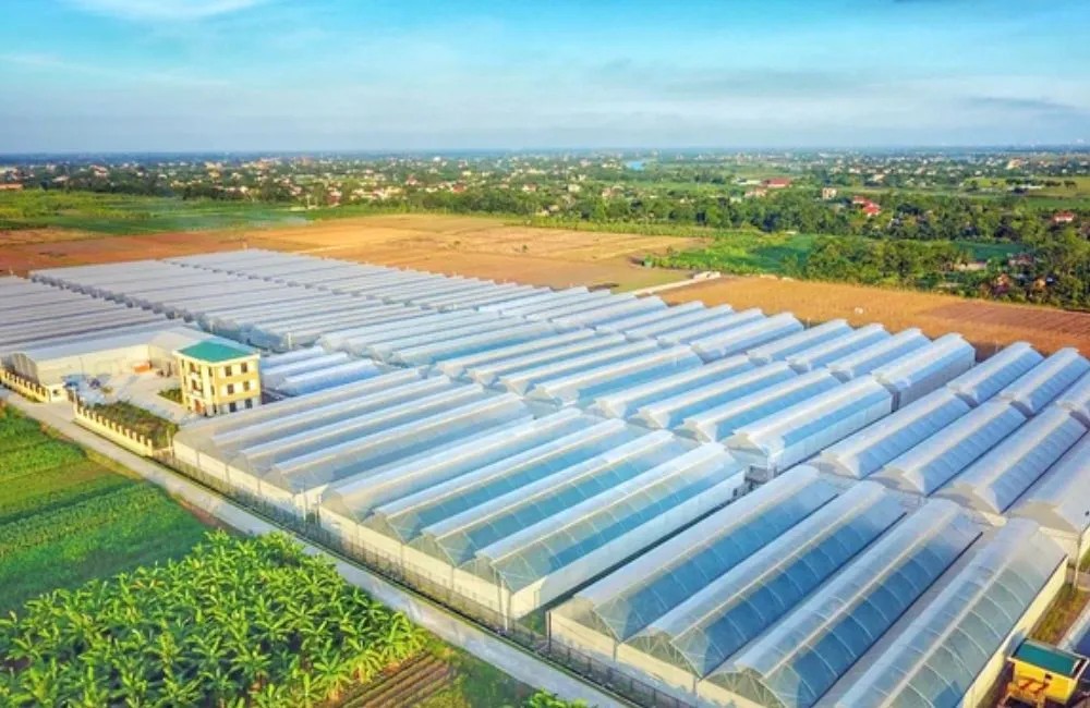 Trung tâm giống cây trồng miền Bắc