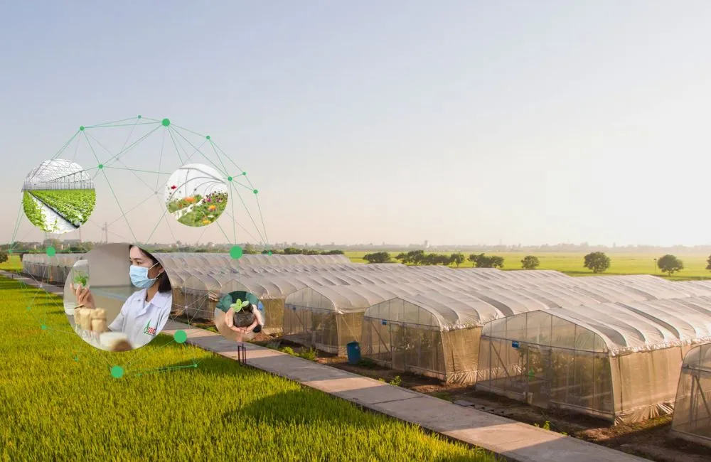 Trung tâm giống cây trồng miền Nam