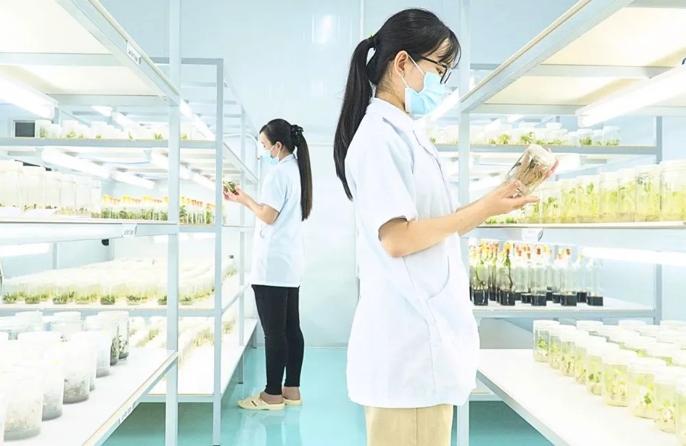 ViGen - Trung tâm nuôi cấy mô thực vật đạt chuẩn
