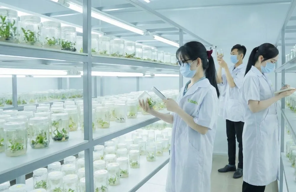 ViGen - Trung tâm nuôi cấy mô thực vật lớn nhất