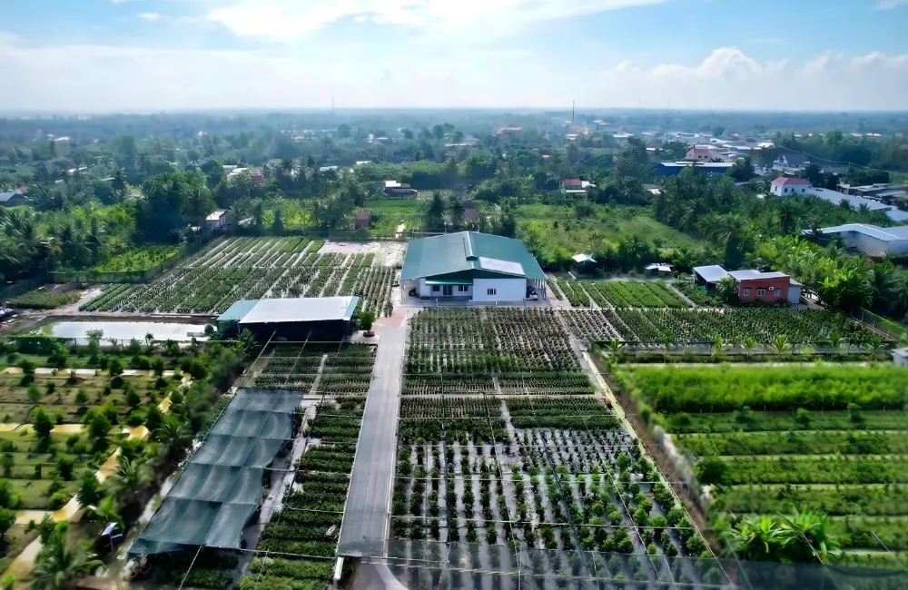 Quy mô trung tâm nuôi cấy mô ViGen 