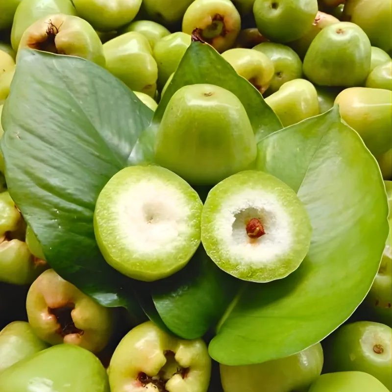 Cây mận xanh đường