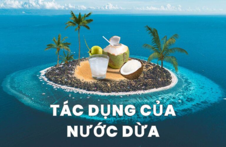 Tác dụng của nước dừa – Có nên uống nước dừa mỗi ngày không?