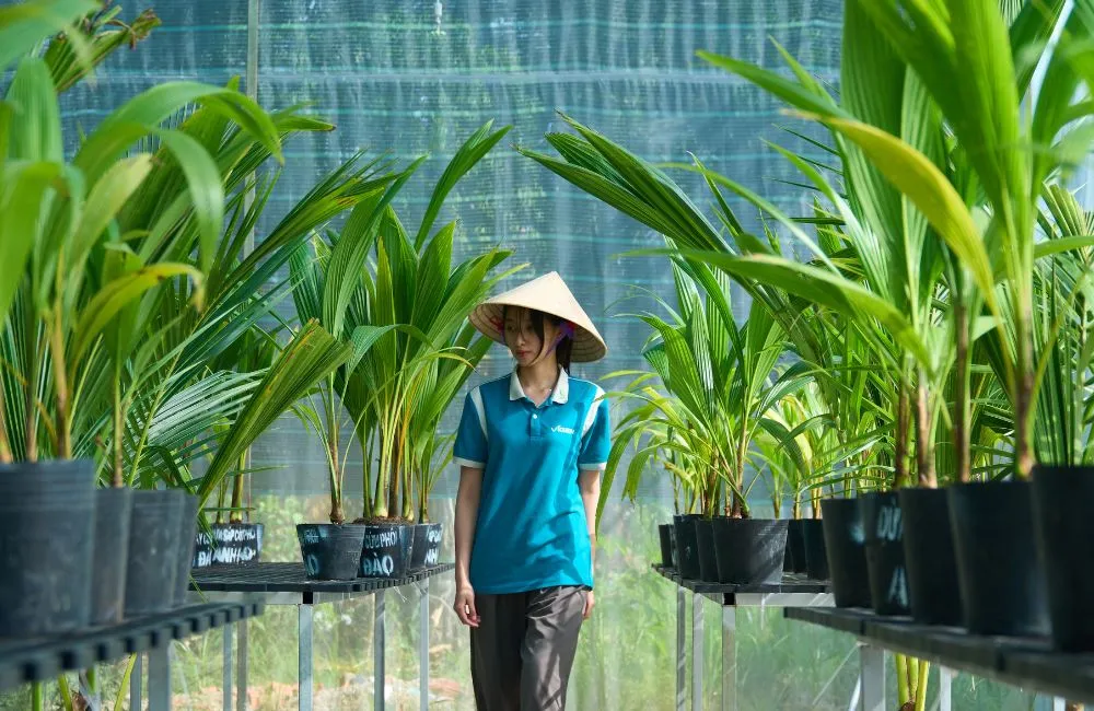 Danh mục cây giống cấy mô tại ViGen