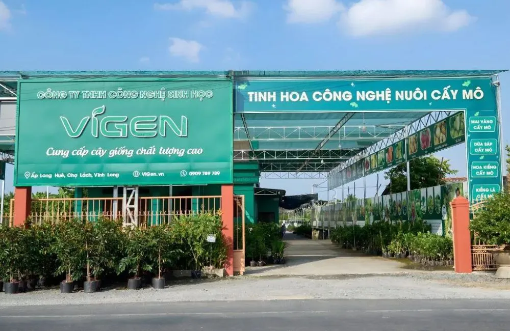 Chất lượng cây giống đầu vào