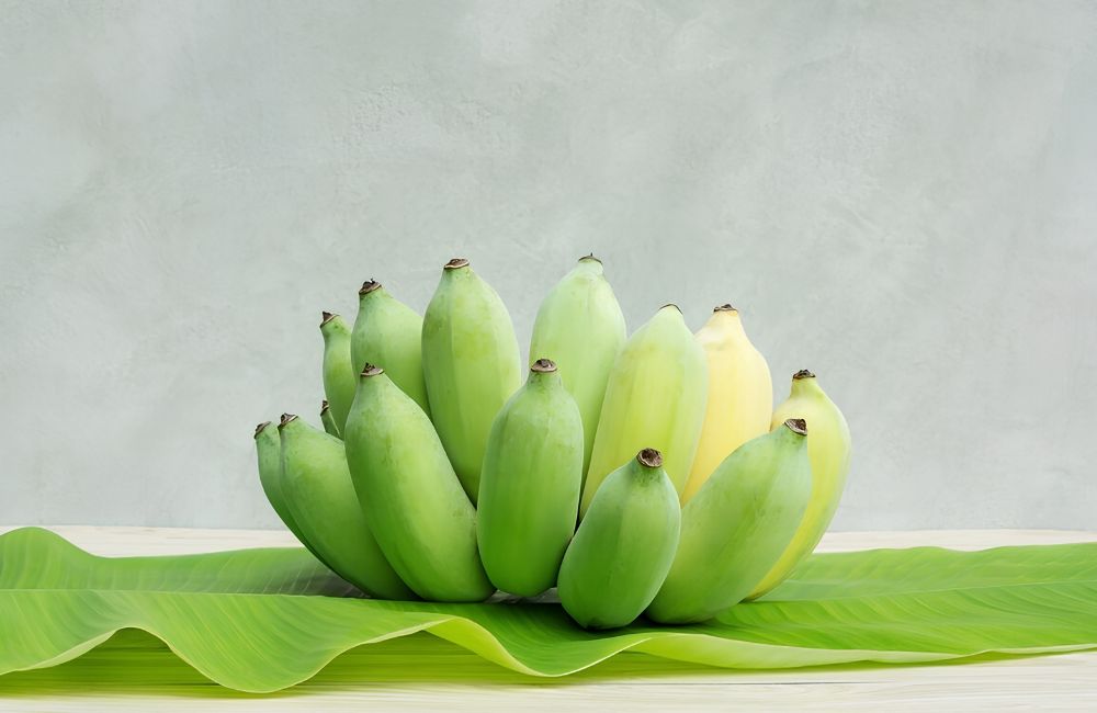 Chuối Sứ Cấy Mô