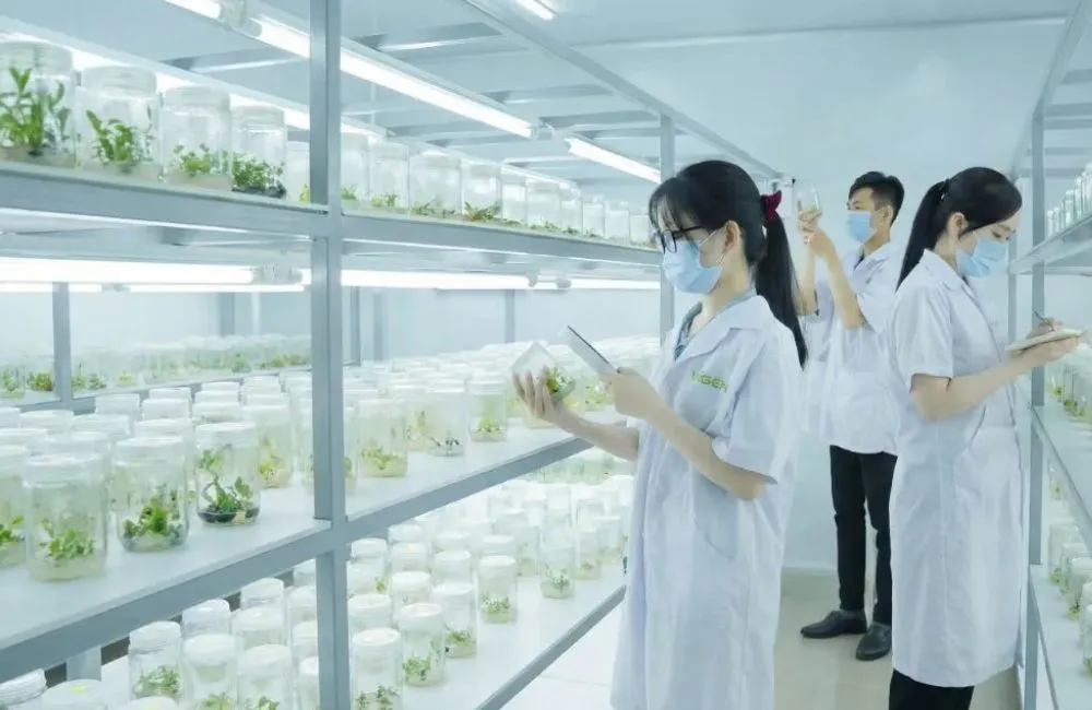 Cây giống ViGen và dịch vụ tại ViGen