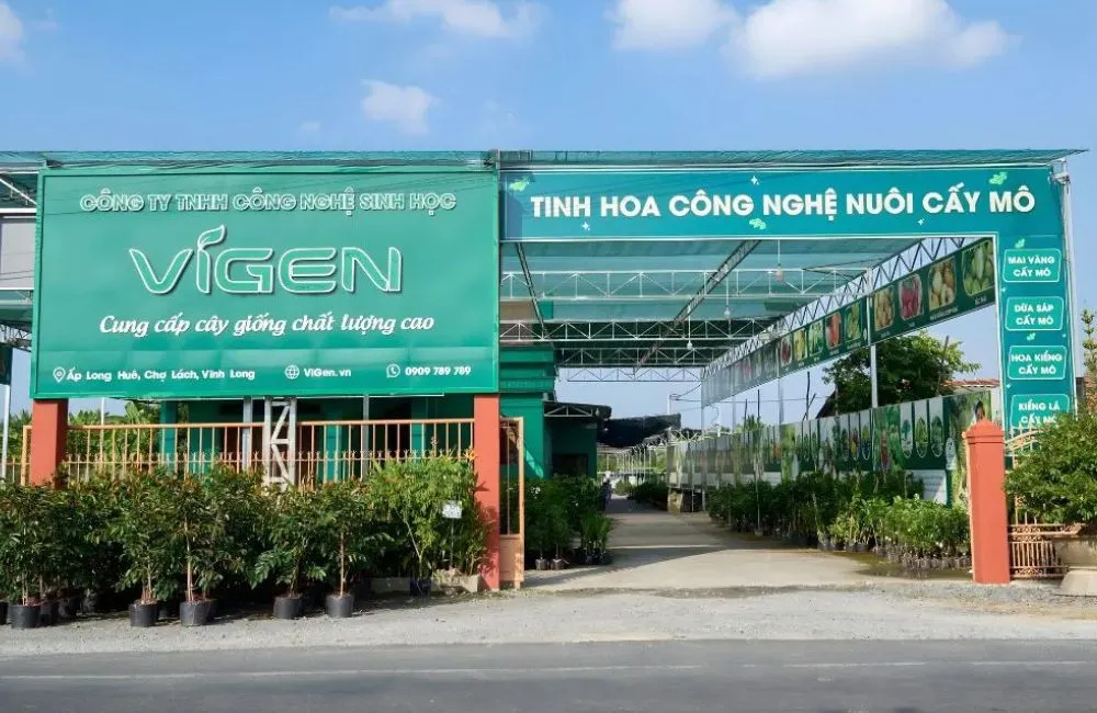 Cây giống ViGen và dịch vụ tại ViGen