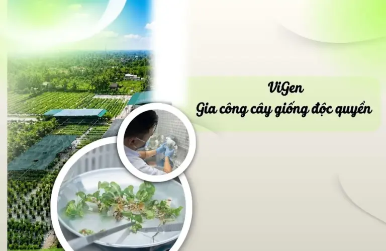 Gia công cấy giống độc quyền: Khi nào là thời điểm thích hợp