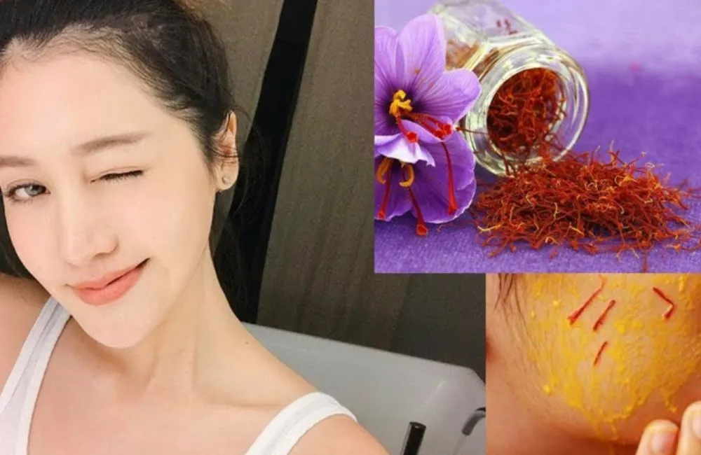 Cây nhụy hoa nghệ Tây cấy mô