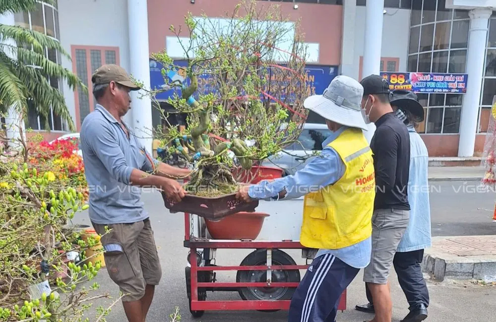 Trung tâm cây giống cấy mô ViGen