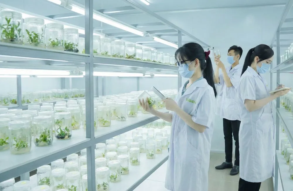 Trung tâm cây giống cấy mô ViGen