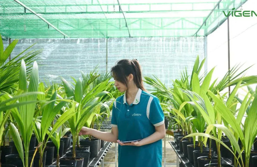 Trung tâm cây giống cấy mô ViGen