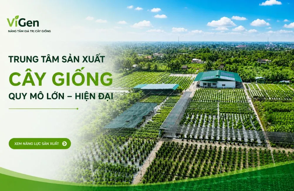 Trung tâm cây giống cấy mô ViGen