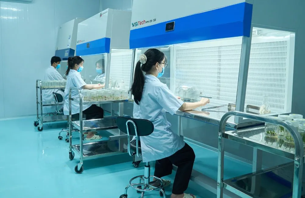 ViGen và giải pháp phát triển cây giống bản quyền chuyên nghiệp