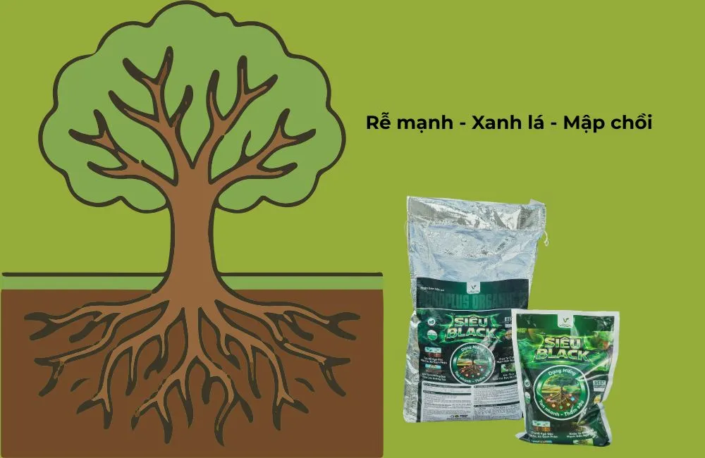 Humic Miểng 3D Siêu Black 