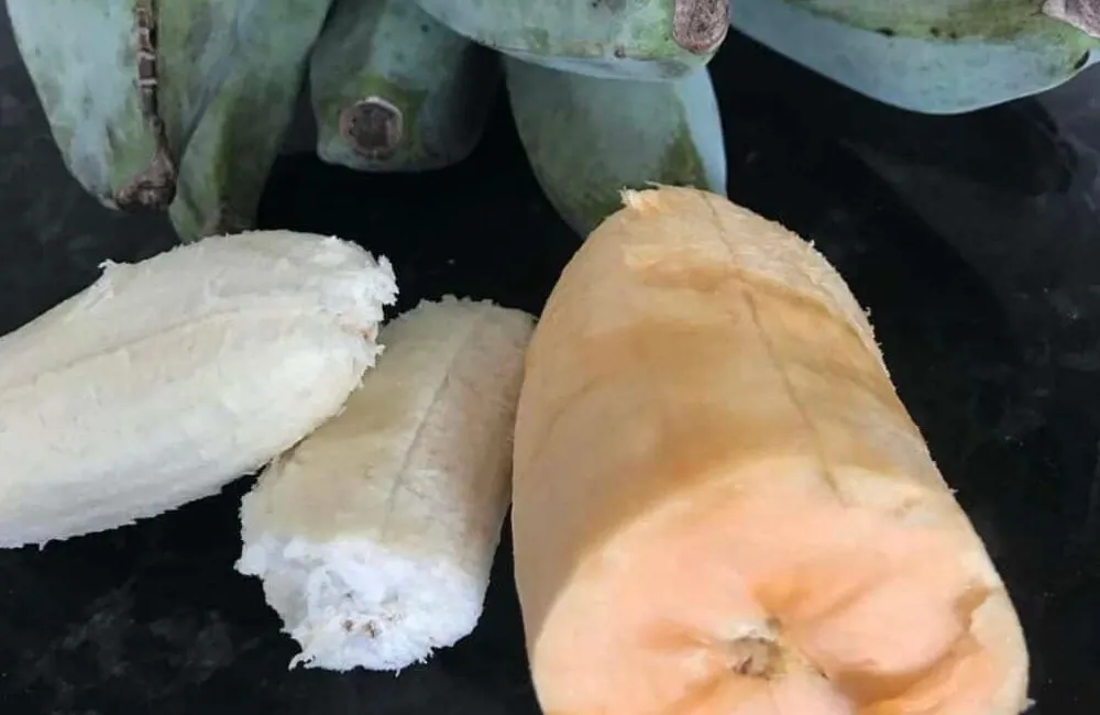 Chuối khổng lồ Musa Hua Moa